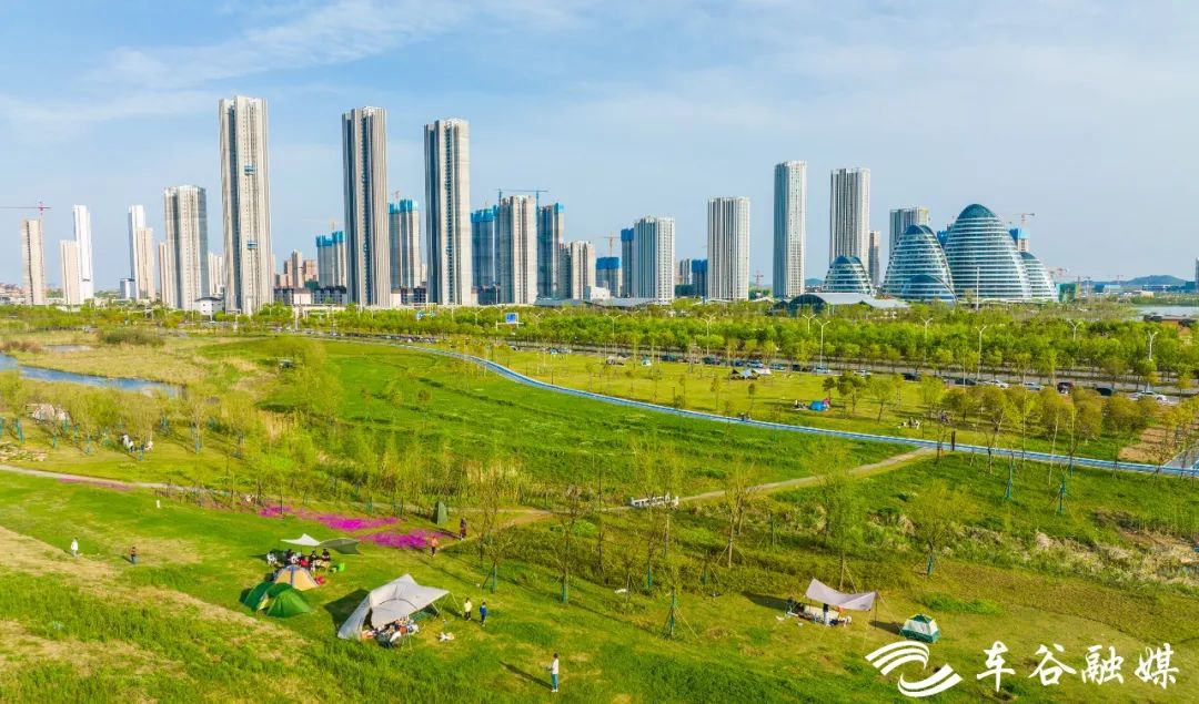 阳光露营地,3月份适合露营地推荐