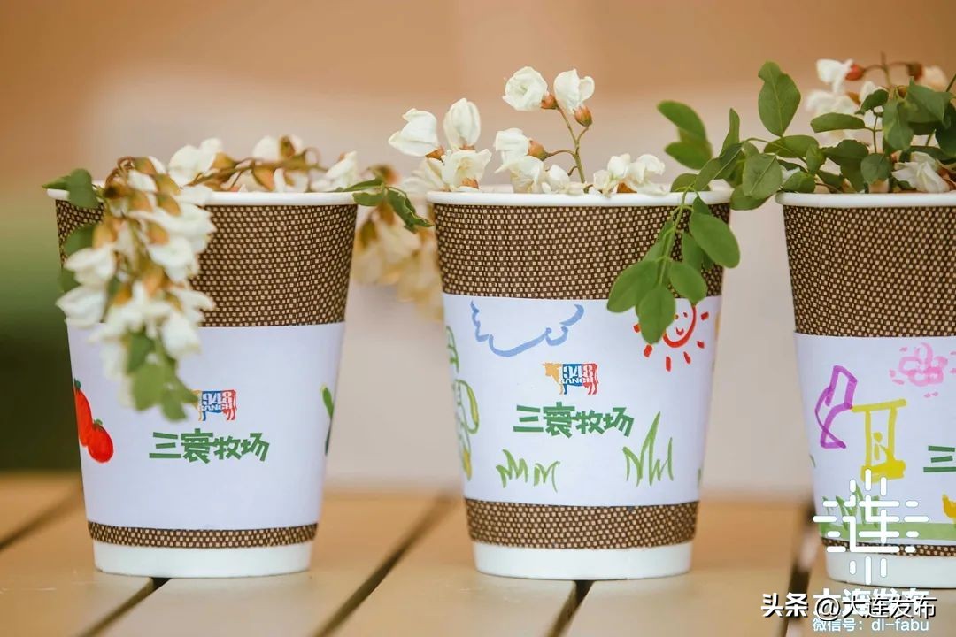 大连槐花香景区,大连槐花景区