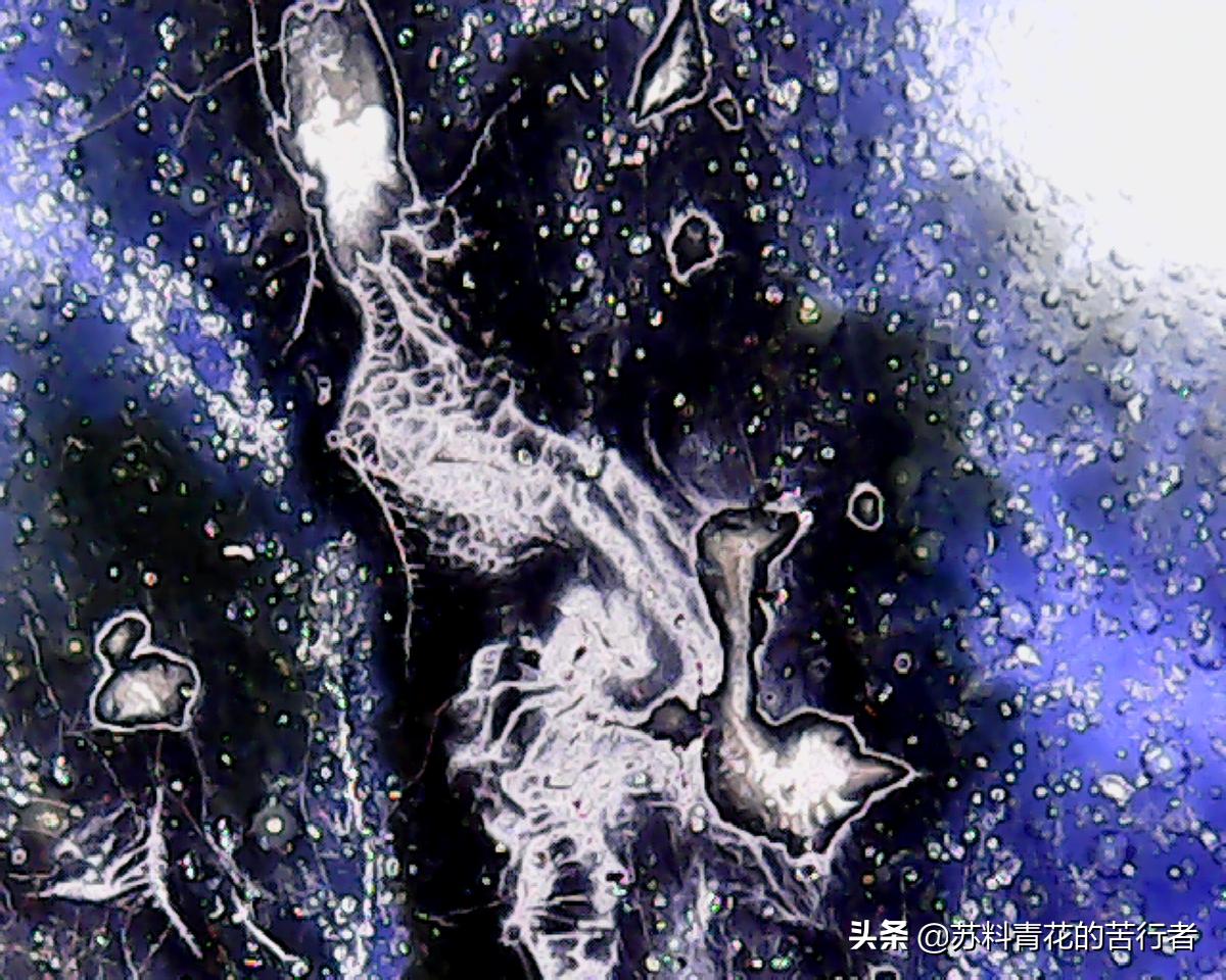 元青花萧何月下追韩信梅瓶全图,元青花萧何月下追韩信大梅瓶