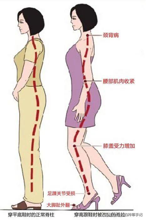 下半年可以穿的鞋,下半年只能买一双的鞋子