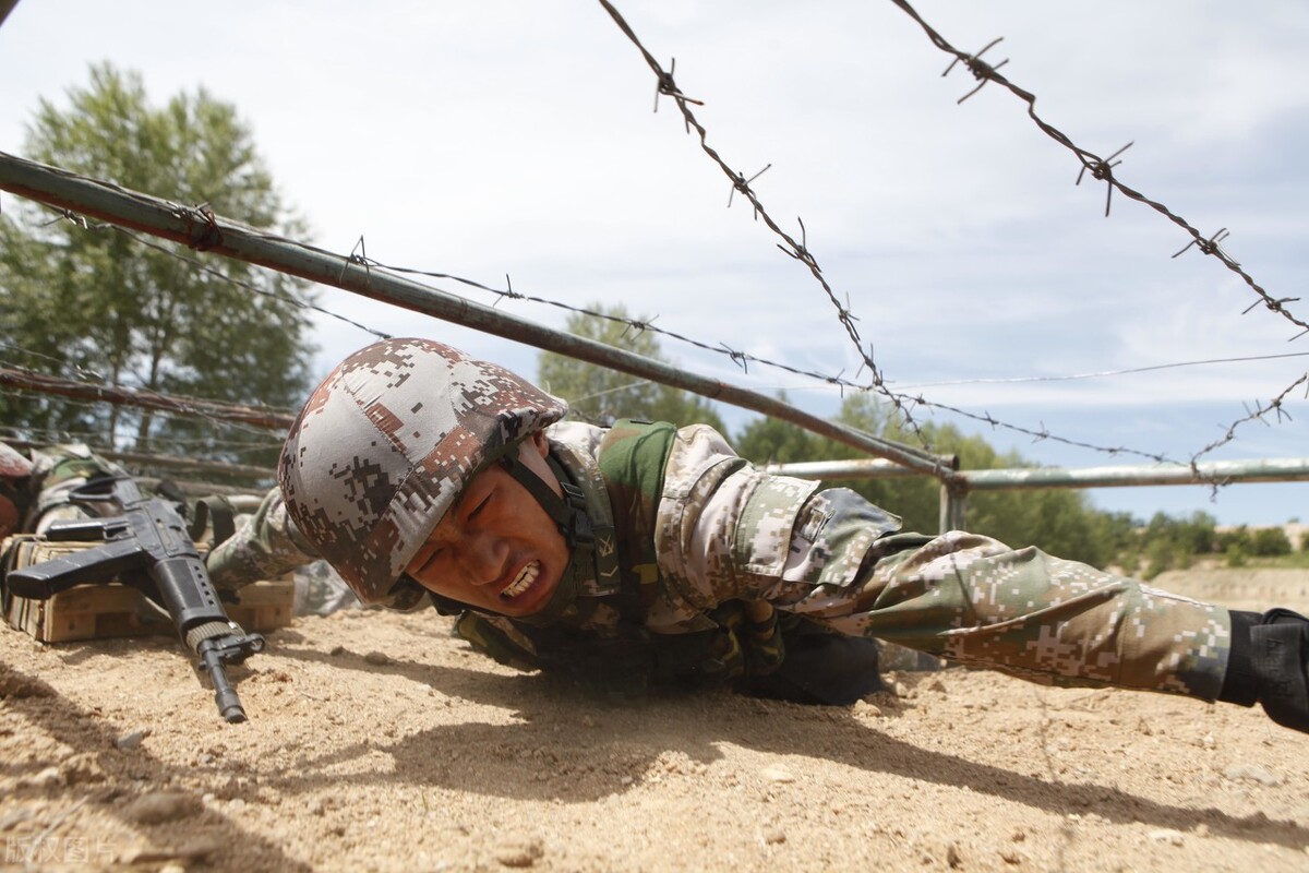 现在中国的国花是什么花,中国的国花应该是什么花呢