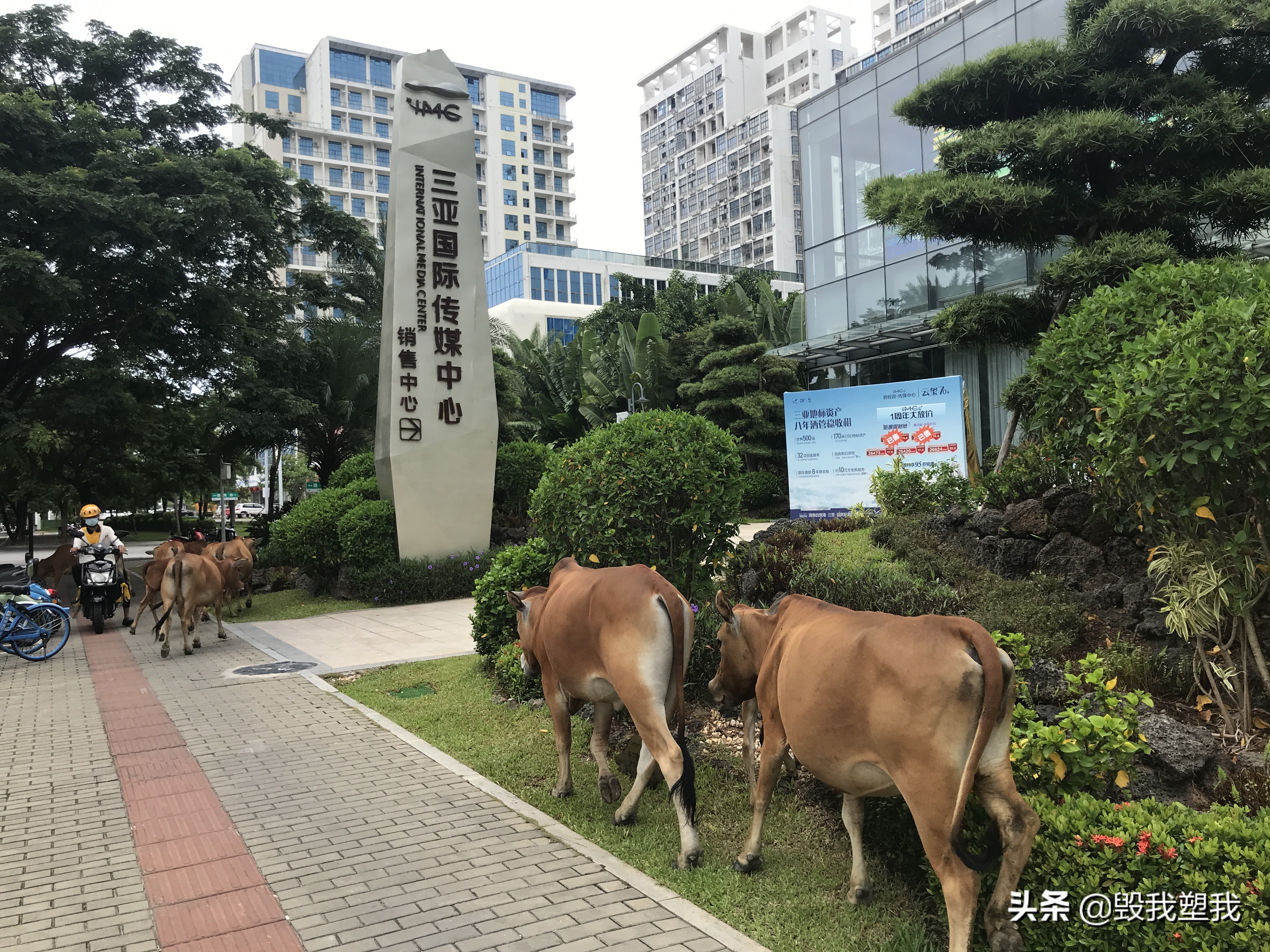 海南三亚街头真实视频,三亚街边小视频
