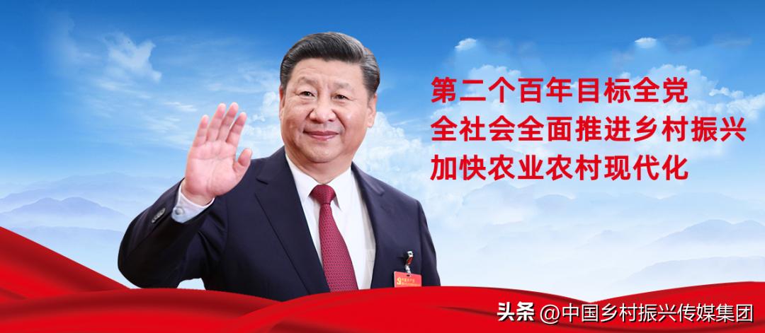 2023乡村振兴申报项目及补贴,振兴乡村国家有哪些资金扶持项目