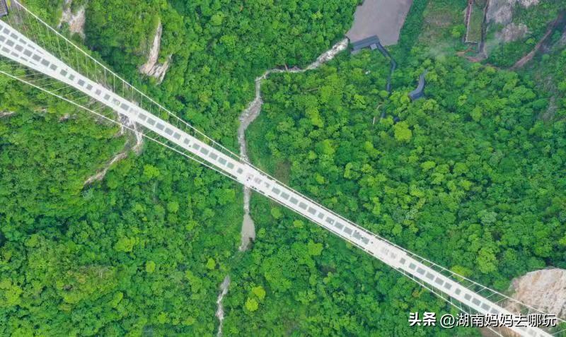 峰迷全世界,峰迷全球