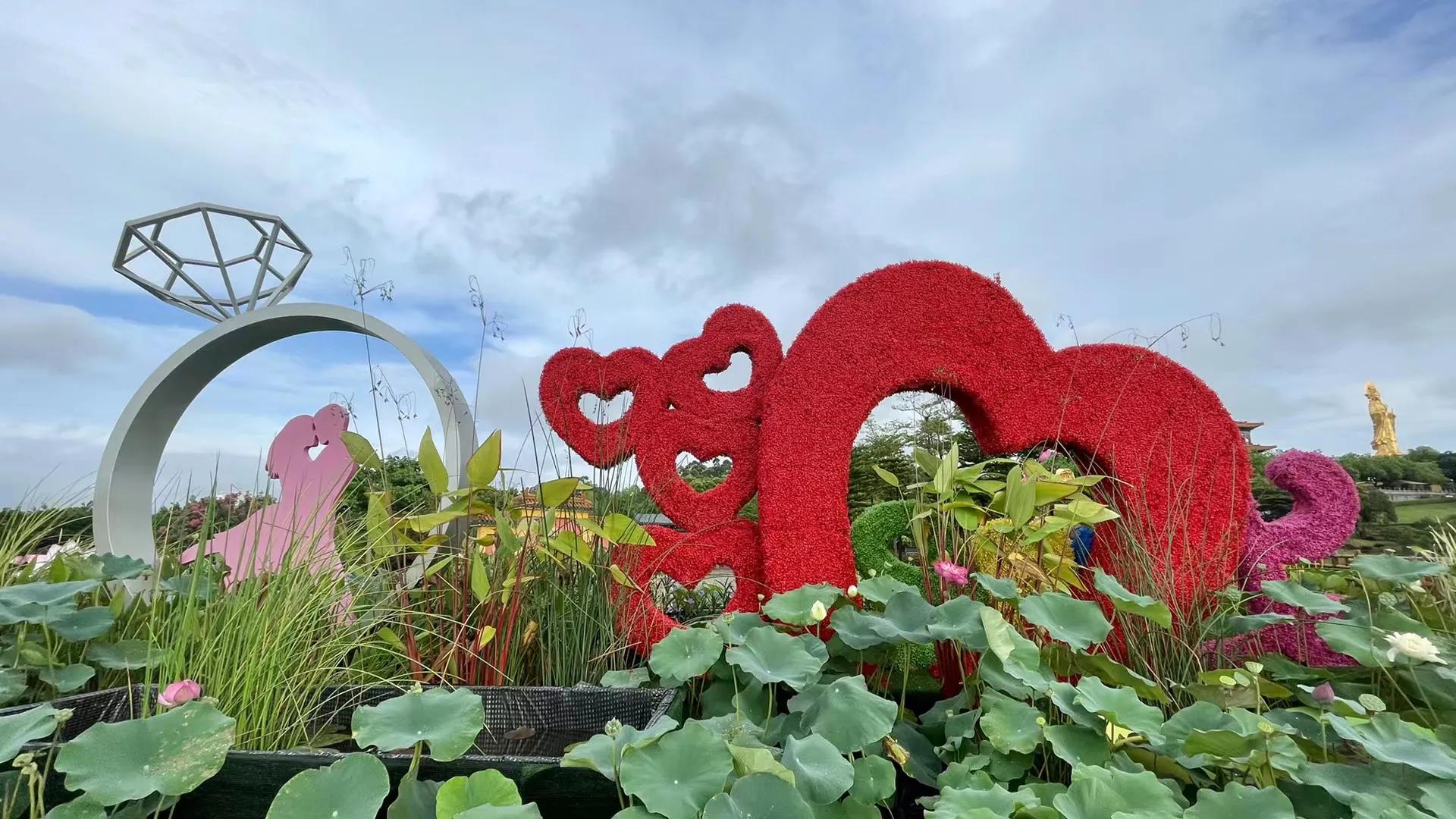 柔光罩雨后摄影,雨后初晴滤镜