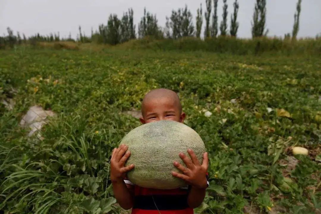 水果大省“冠军”易主，这场竞争真的太激烈了