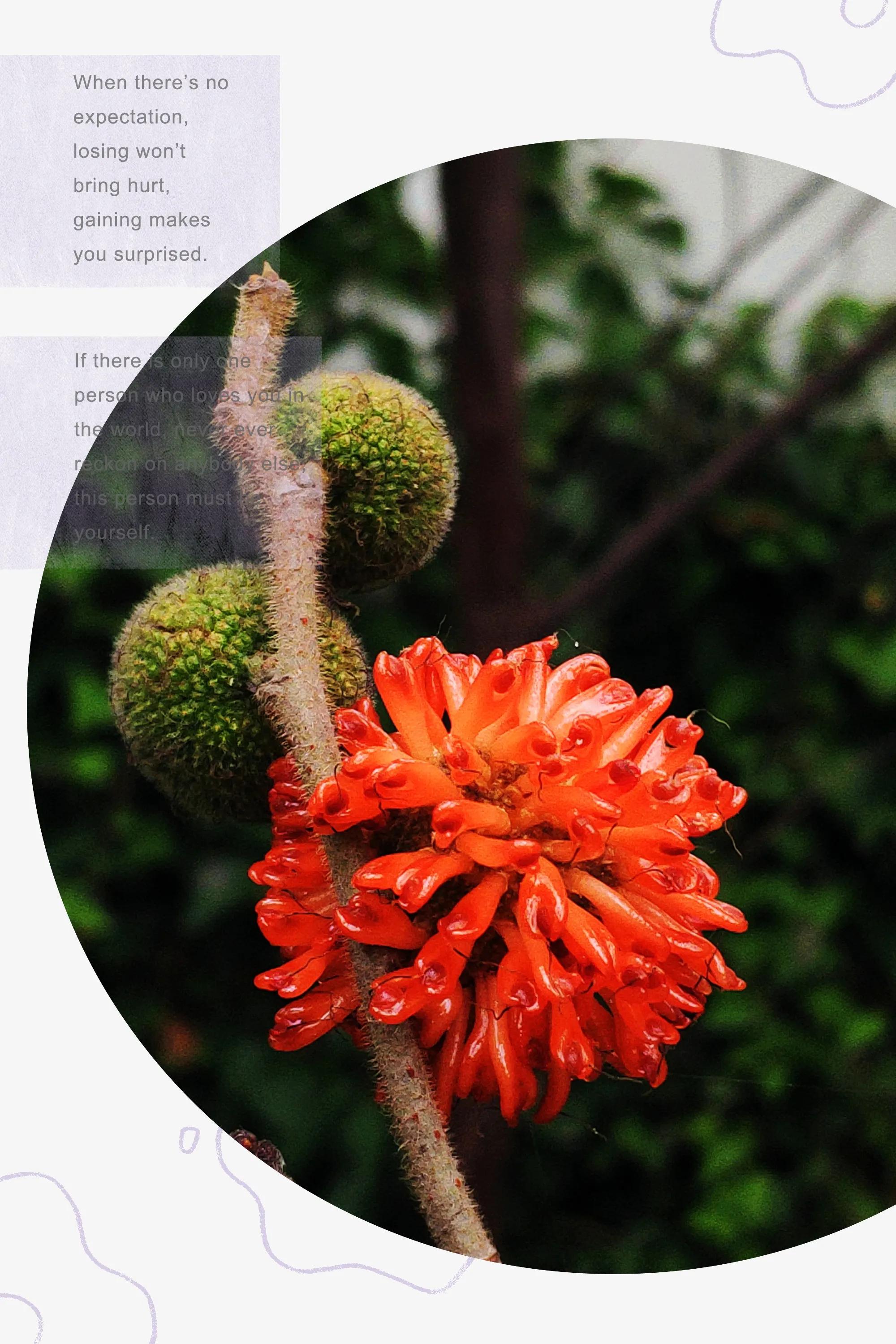 田园美景竖屏大图,乡村田园风景手机怎么拍