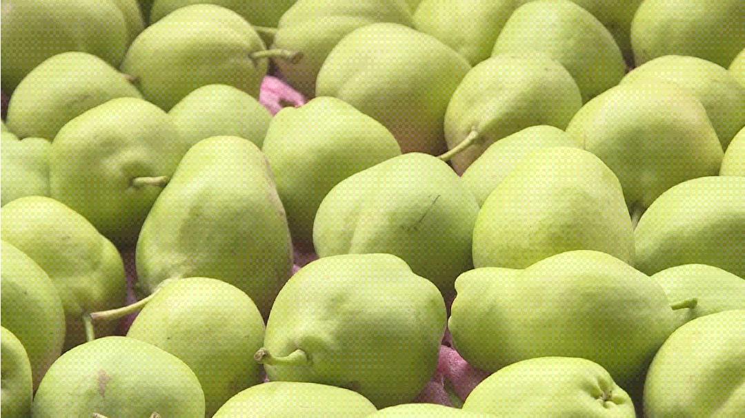 白银生态美景,白银大地山水