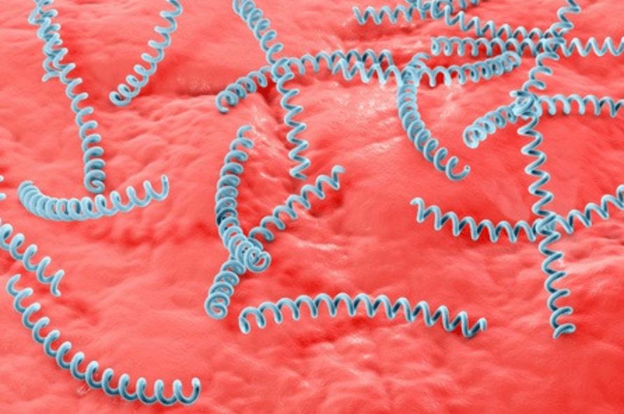 通过性传播的病都有哪些,8种病通过运动都好了