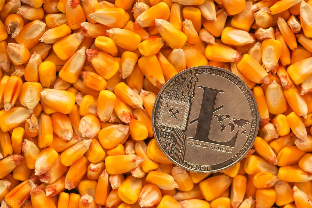 深加工赚钱，饲料企业赚钱，为什么玉米不涨价？10月19日玉米行情