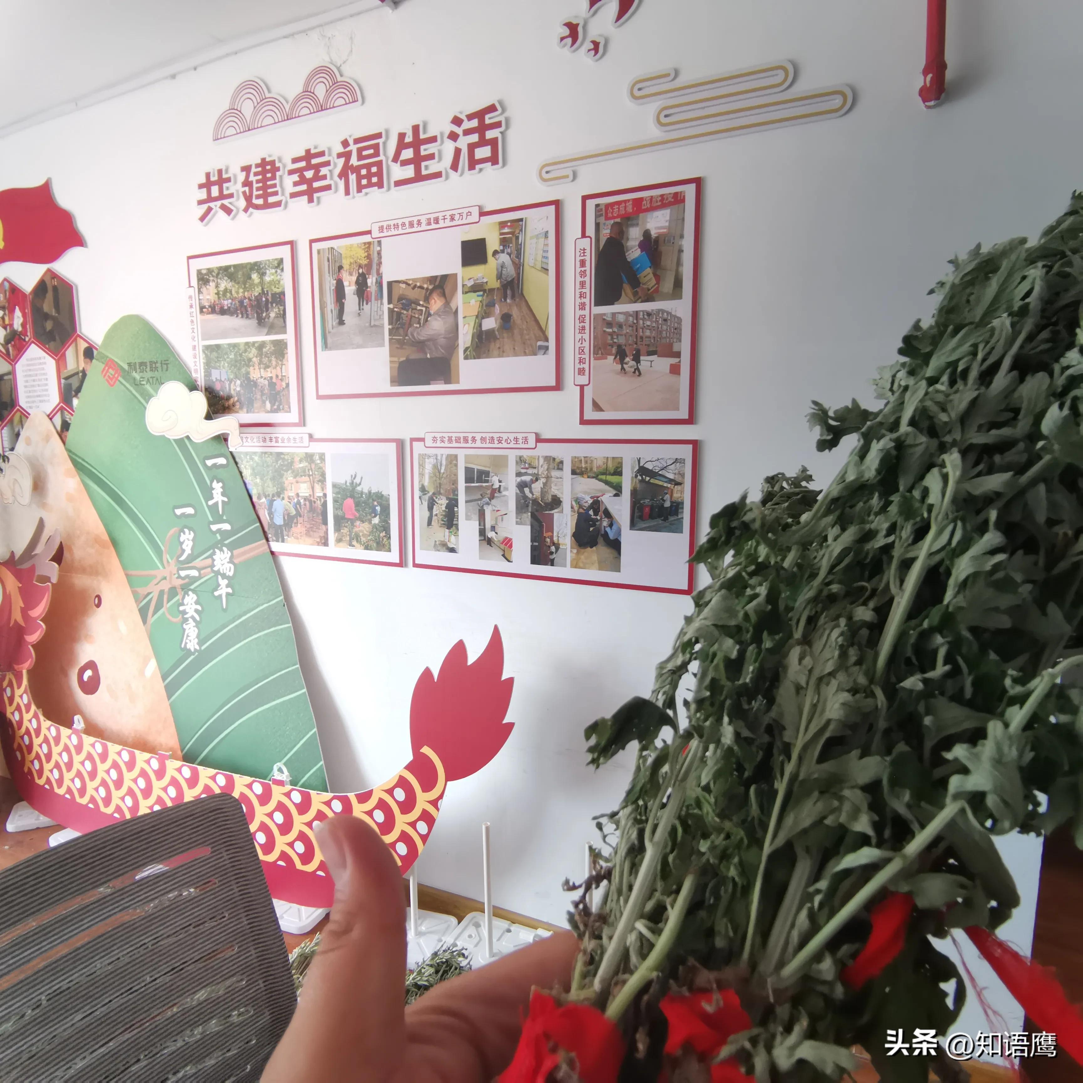 端午节物业社区活动方案,物业传承文化迎端午活动