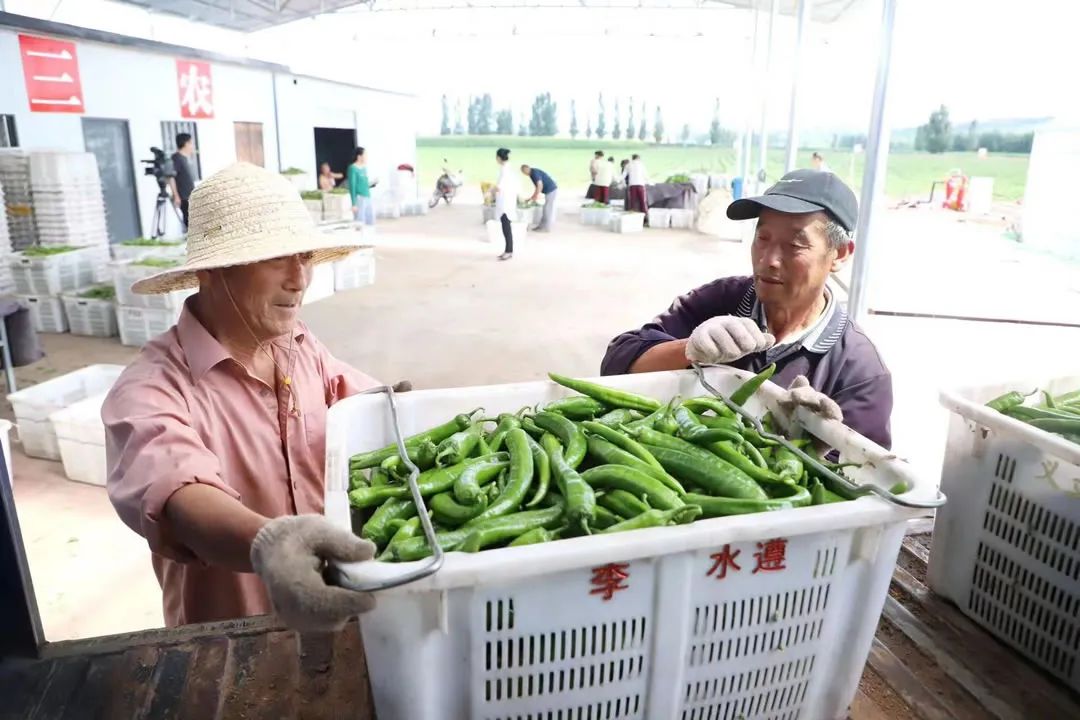 沁县特色农业,特色农业带动乡村振兴