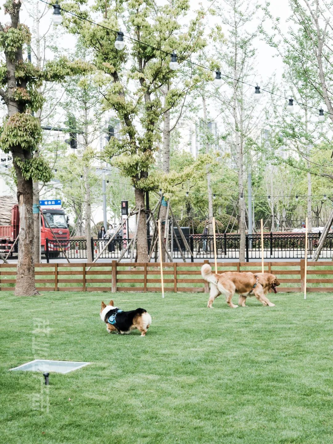 CRR百图斩｜公园里的新天地：上海蟠龙天地