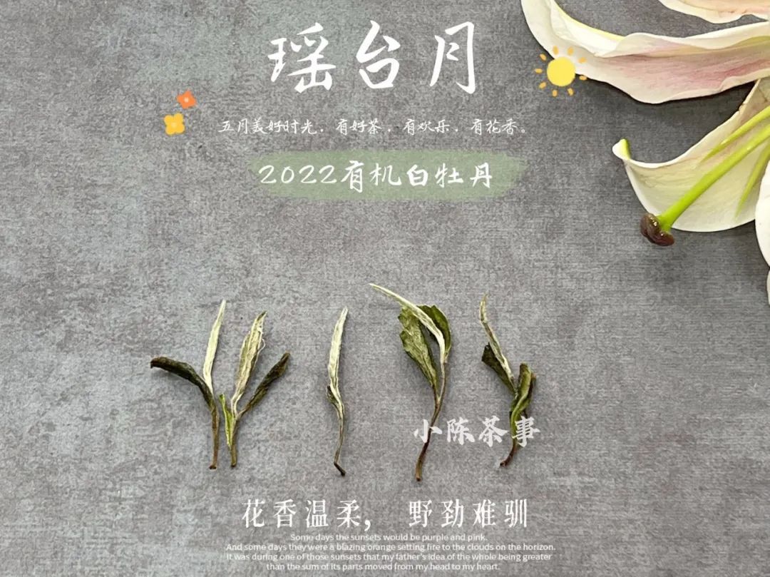 白茶里白牡丹和寿眉的区别,白茶的白牡丹和寿眉的区别在哪里