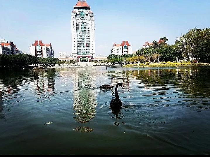 厦门风光高清手机壁纸,厦门风光