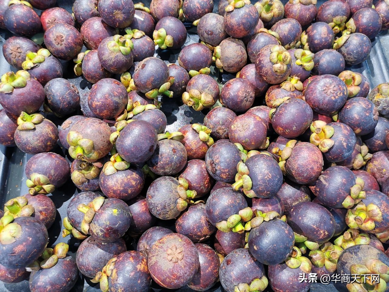 榴莲消费降级,榴莲买不起了只能买冰激凌