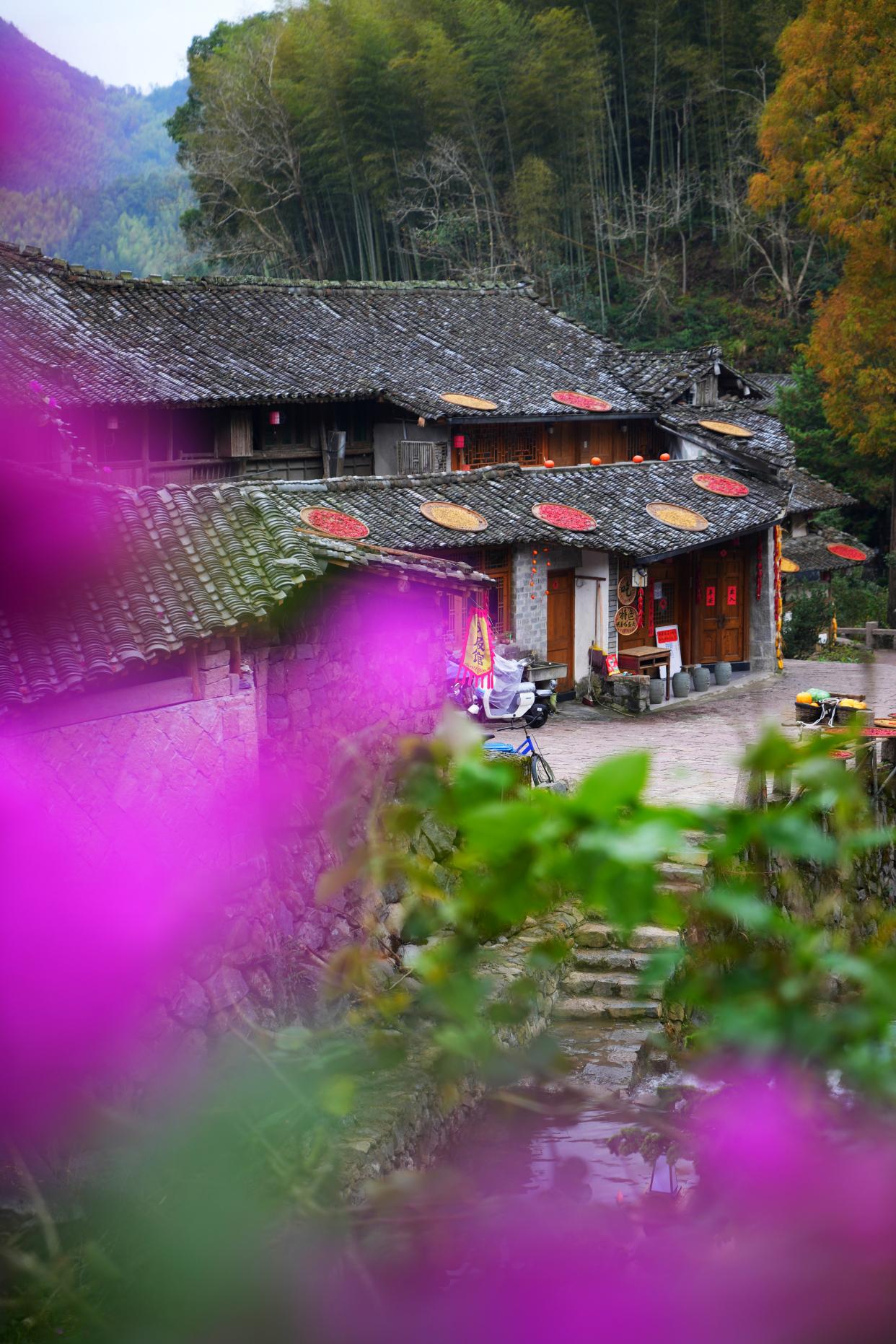 温州山区旅游,温州最美大山古村落