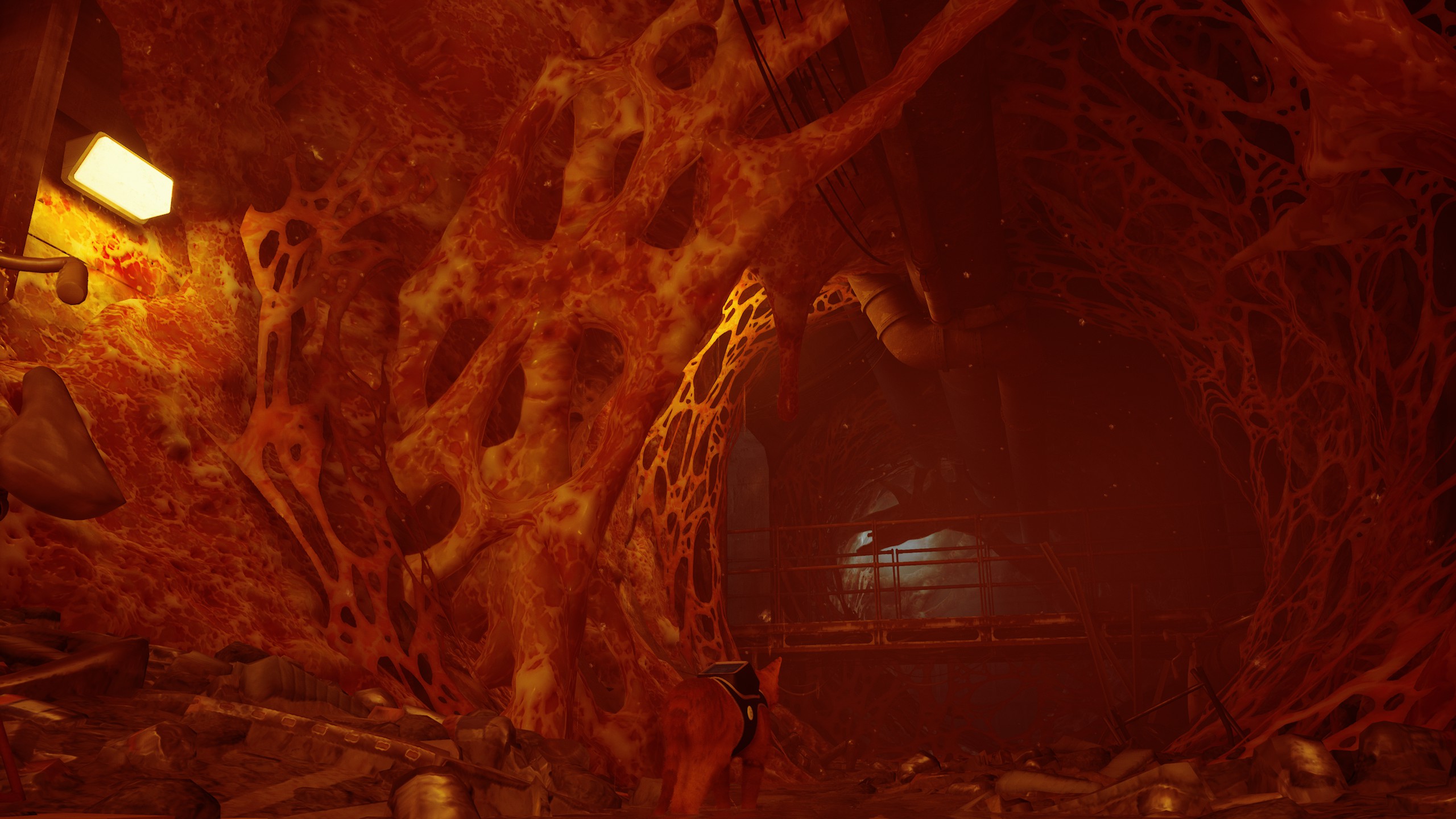 stray新游戏,stray这个游戏怎么样