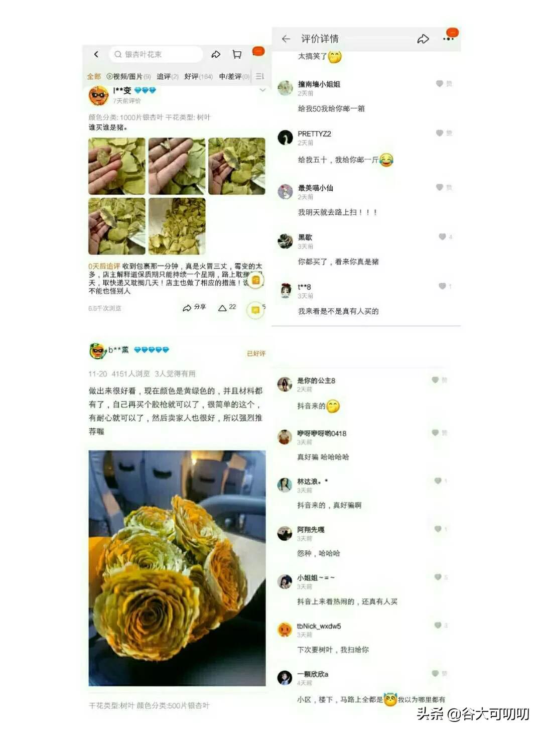 致富之路？500片银杏叶100元，一朵银杏花20元