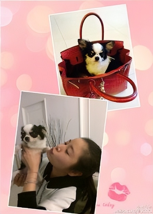 隐藏亿万富婆后续,每年参加红毯一毛不拔的林心如