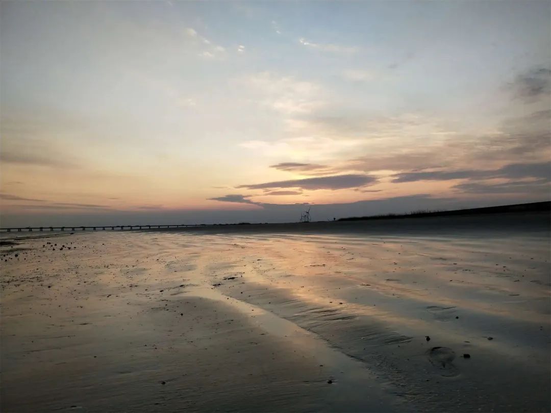 上海附近的大海沙滩旅游推荐,上海周边最建议去的沙滩
