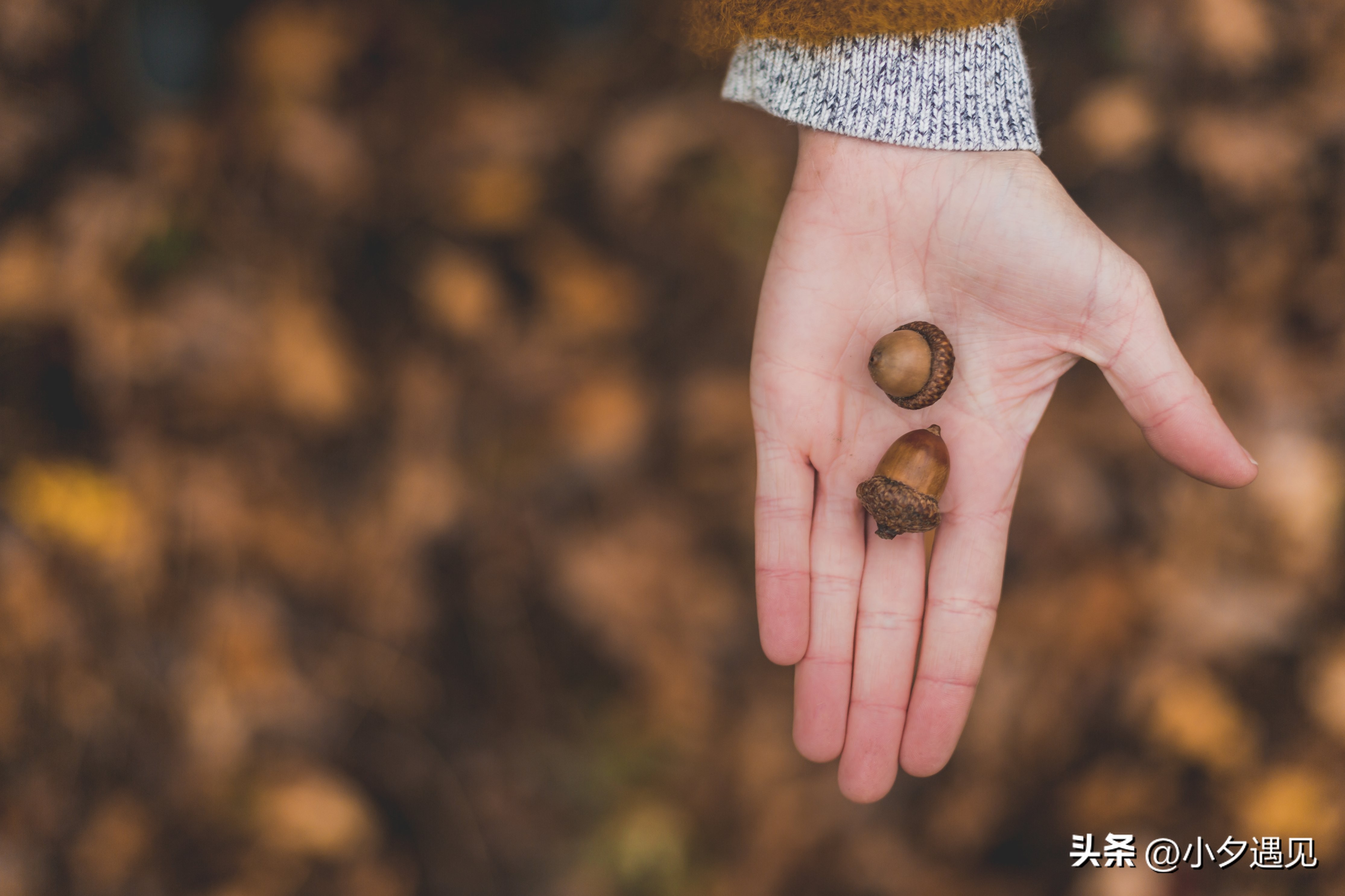 卖榴莲的小哥哥丽水,卖榴莲的小哥哥与美女