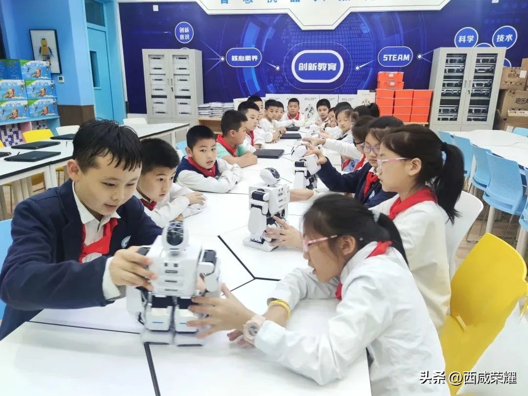 西咸新区哪里有名校,西咸名校和港务区名校