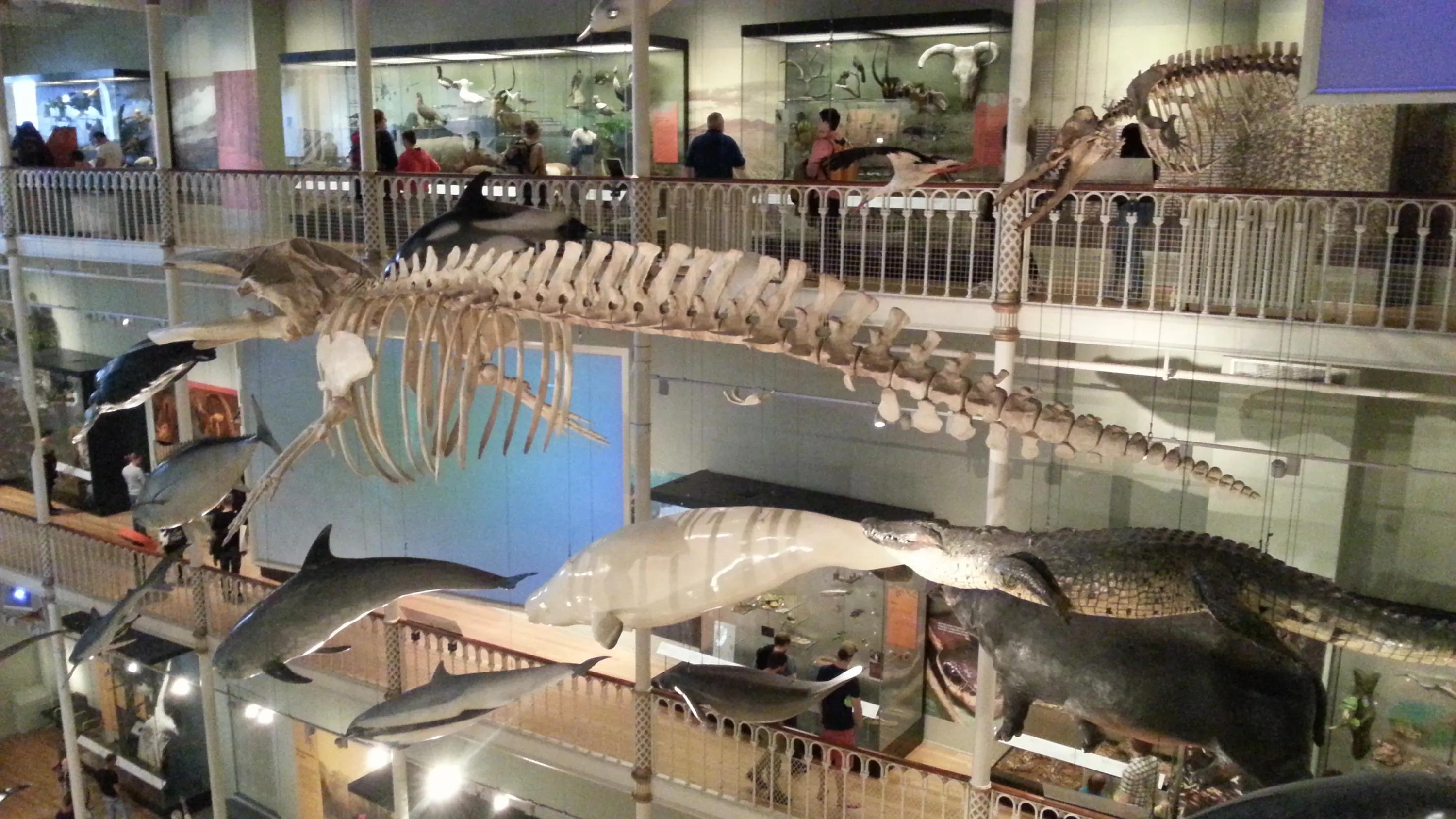 英国之旅第八九十天-爱丁堡