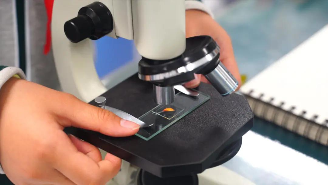 南京师范大学附属中学该怎样学习,南京师范大学附属实验学校小升初