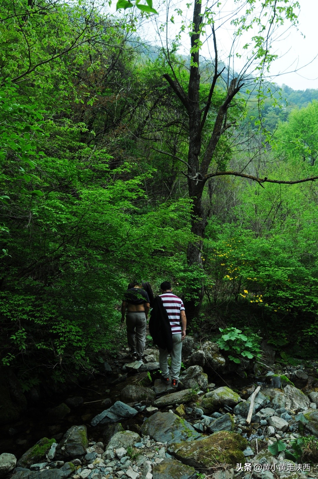 真没想到，蓝田还藏着一条通安康的古商道！很多人路过却不知道