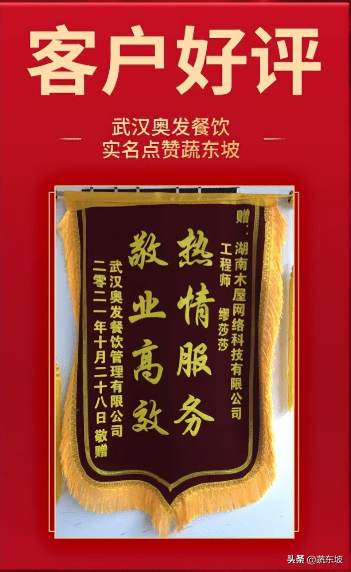 蔬东坡系统代理,蔬东坡软件公司