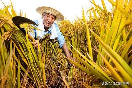 新型农业农民证,新型农业农民资格证书