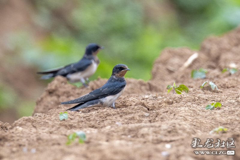 云南昆明生态旅游,昆明官渡区生态文化新城
