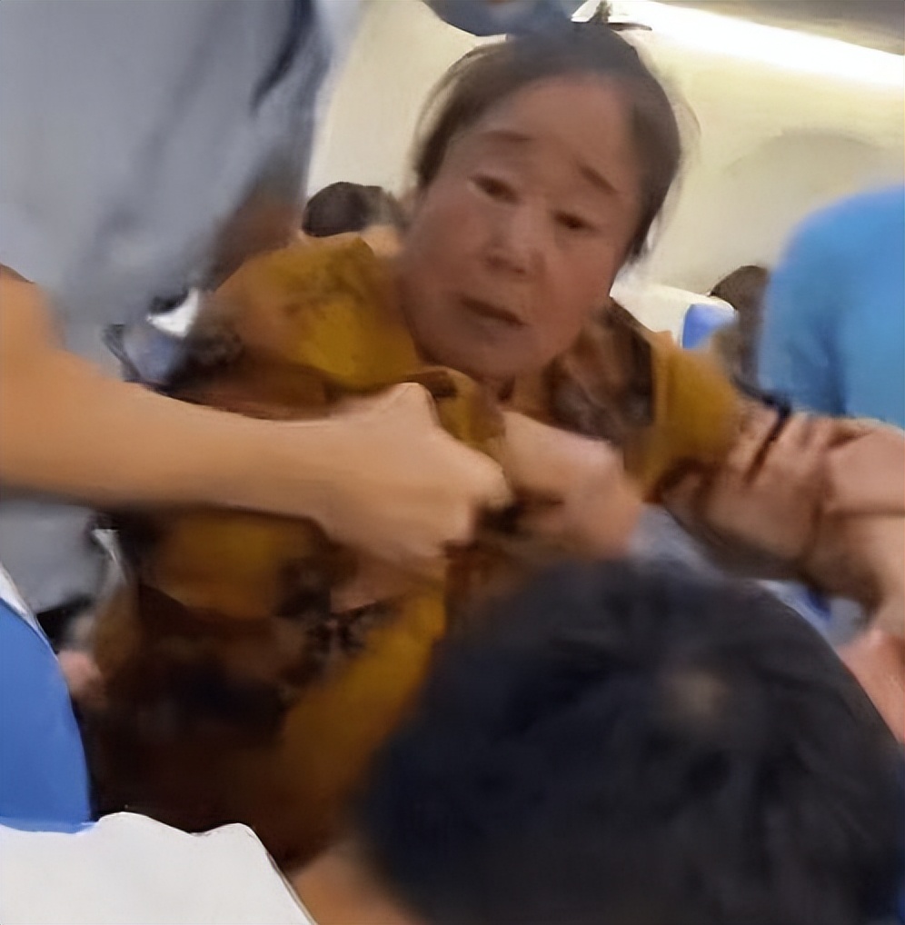 东北大妈飞机上辱骂女子,东北大妈飞机上辱骂女子后续