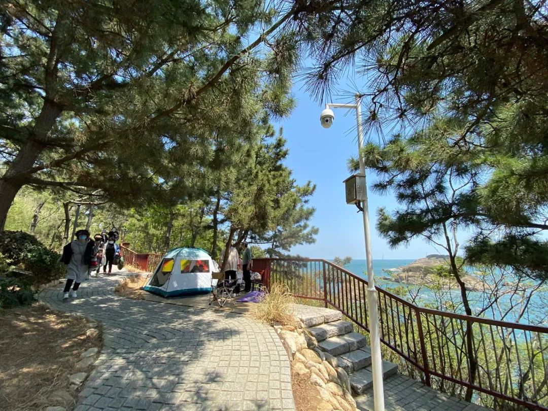 春天的第一场露营怎么策划,春天的第一场露营安排起来