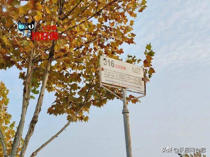 一路之隔比新房贵,一路之隔价格差一倍