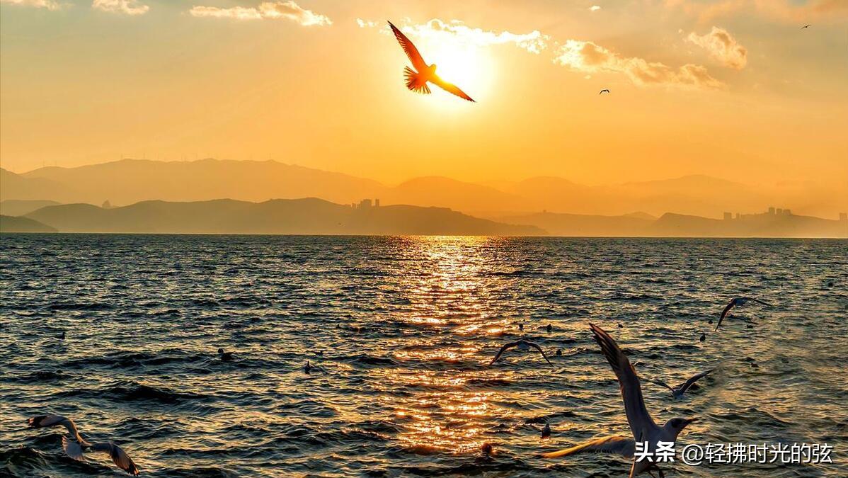 初唐四杰诗十二首,初唐四杰的名篇名句