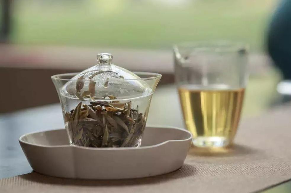 卡塔尔世界杯中的中国元素,卡塔尔世界杯中国元素熊猫