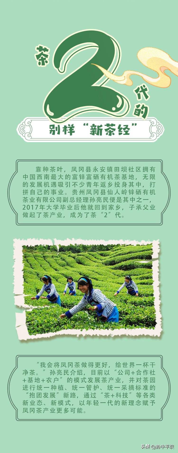 黔茶飘香贵州茶博会,黔茶飘香都匀毛尖茶