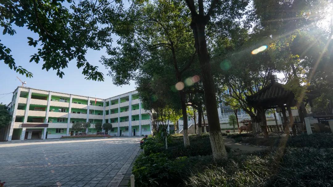 为家乡打call歌曲,为家乡打call