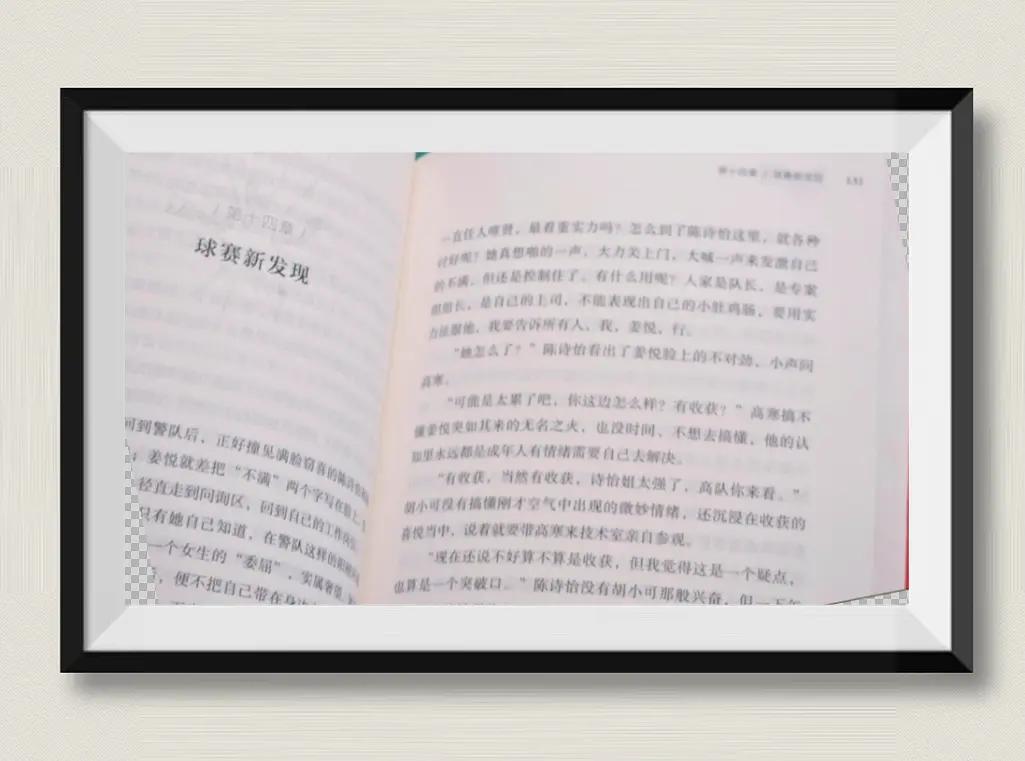 揭秘足坛黑哨黑金内幕,足球历史上的黑暗时刻