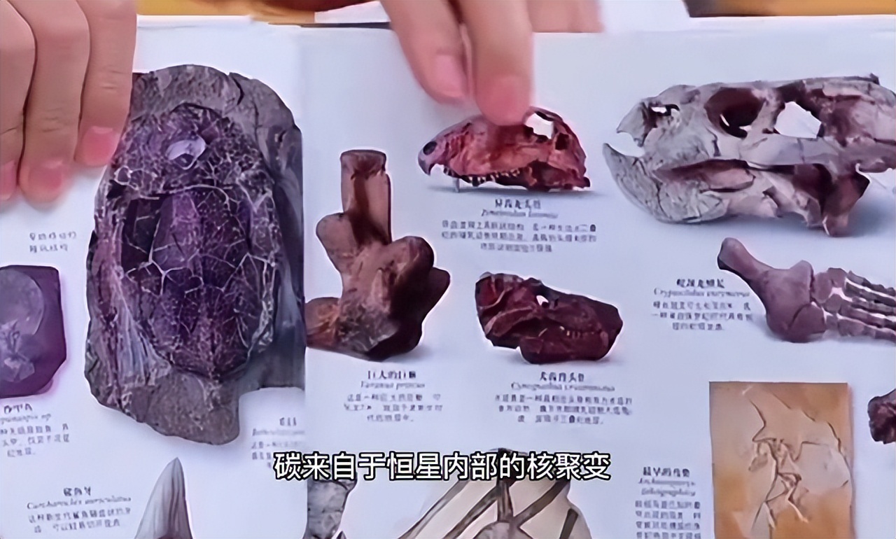 新东方直播间董宇辉录屏,新东方直播间董宇辉讲英语