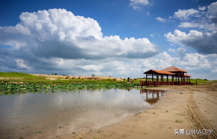 国际摄影协会创作基地草甘沙漠IPA辽宁摄影作品展示（第一期）