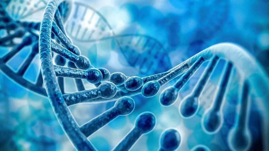 女孩总是习惯性夹腿,这是怎么回事?对身体有多大影响?涨知识了