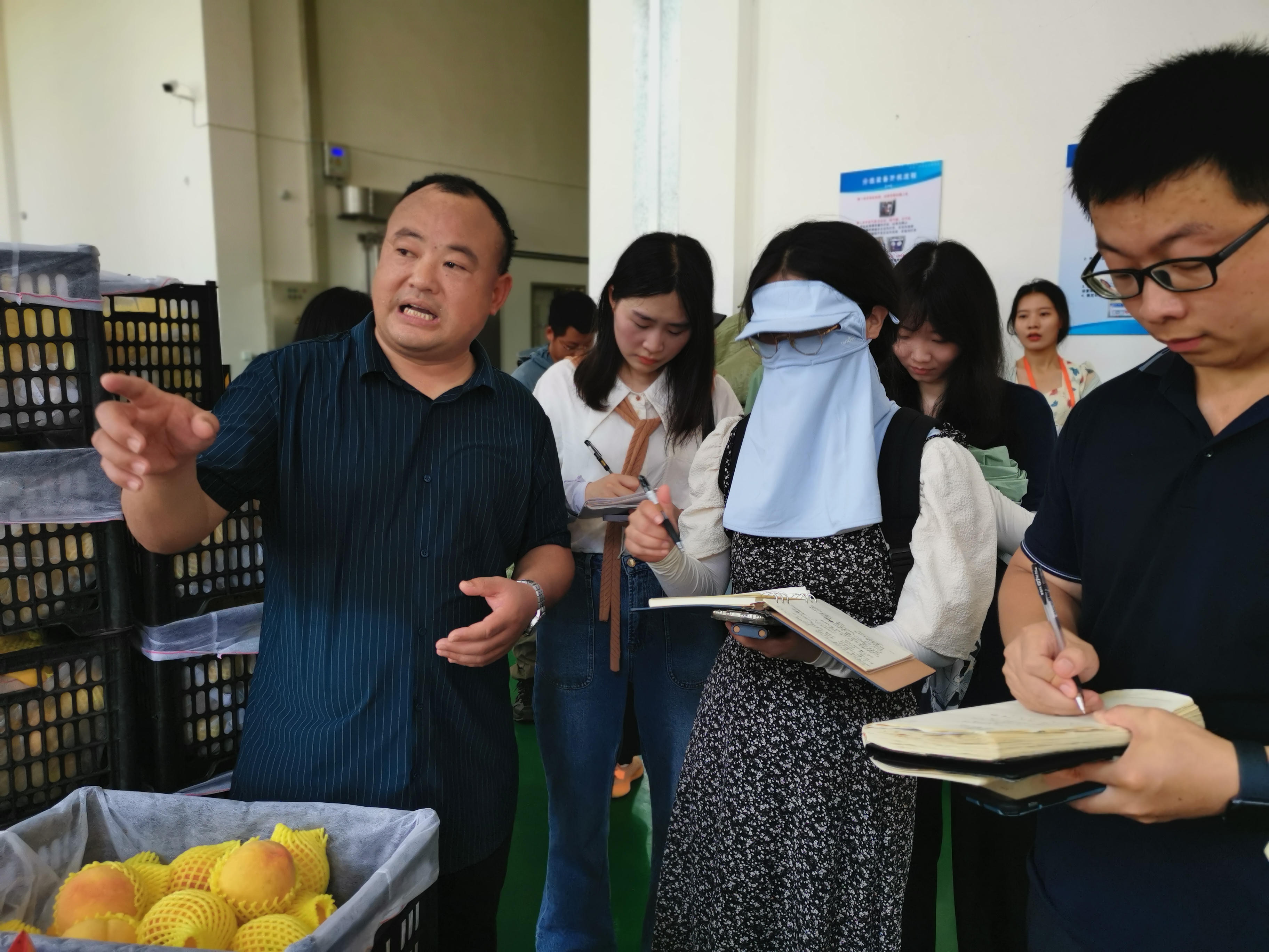 襄阳老河口市乡村振兴有哪些项目,湖北省老河口市乡村振兴工作重点