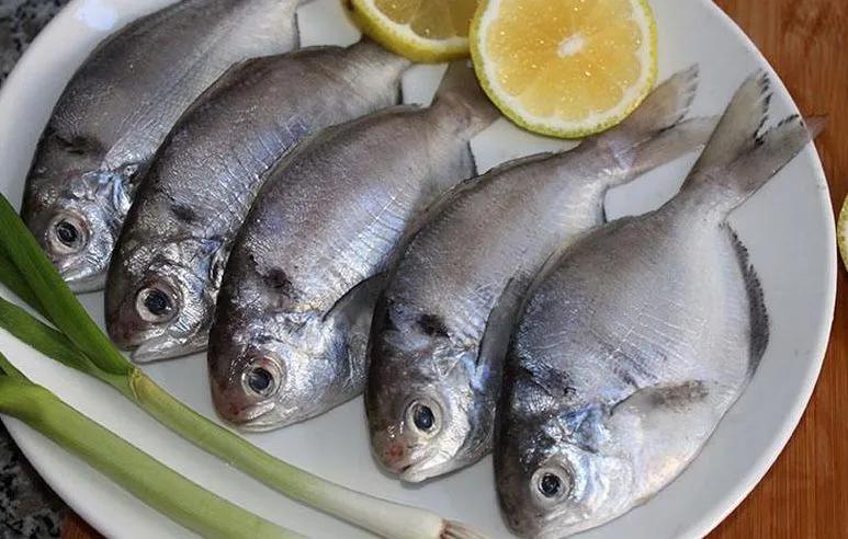 海鲜有什么品种的鱼类好吃,海鲜鱼类名字大全