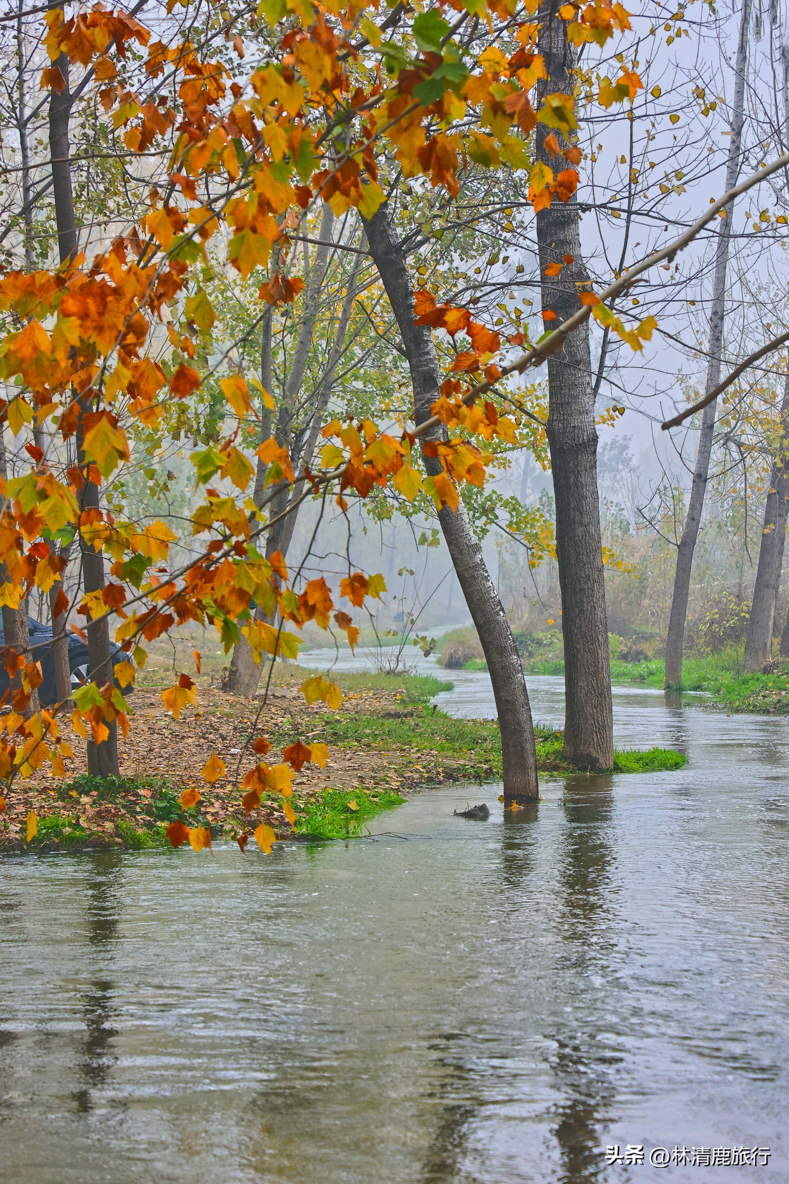 实拍火遍郑州的潮河：被誉为“小伊犁”，好多人来露营烧烤