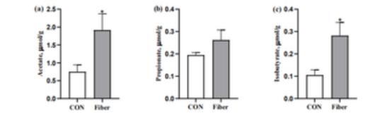 淀粉来源和糊化度对肉鸡生产性能和小肠消化的相互作用