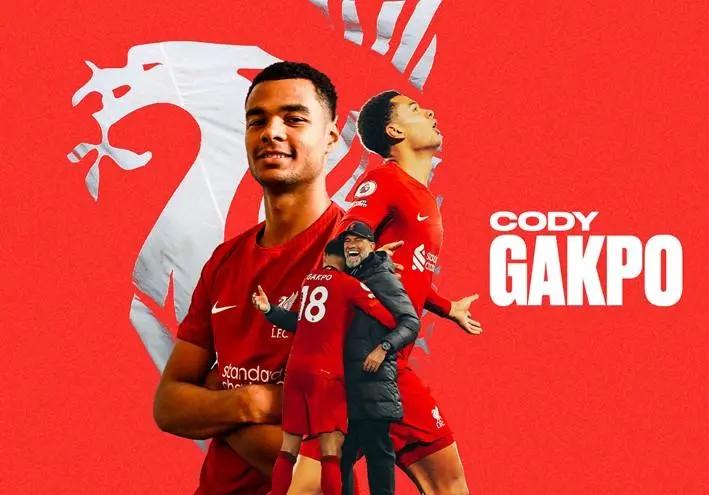 科迪加克波什么水平,科迪加克波球衣号码