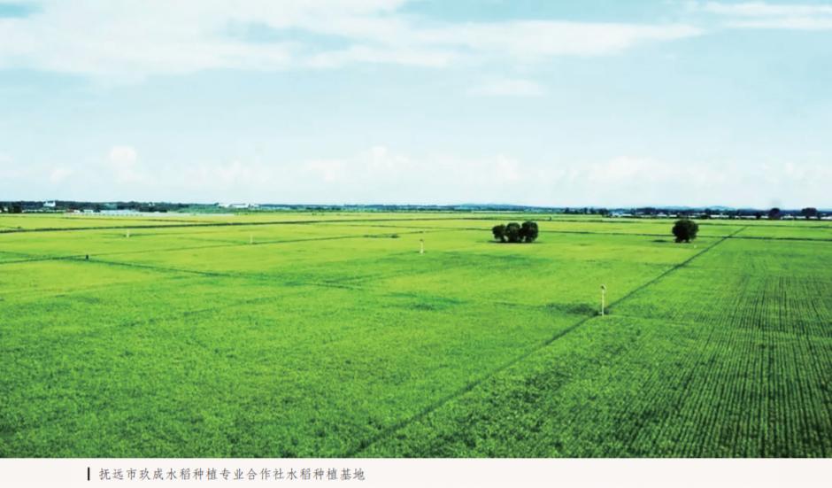 惟愿粮长“玖”功“稻”自然成——记抚远市玖成水稻种植专业合作社